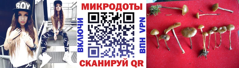 мориарти официальный сайт  где купить наркотик  Чекалин  Псилоцибиновые грибы Cubensis 